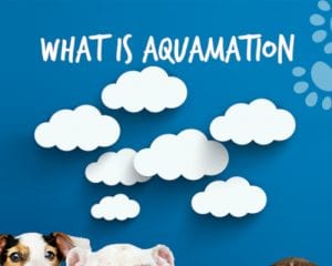What is Aquamation? [infographic]