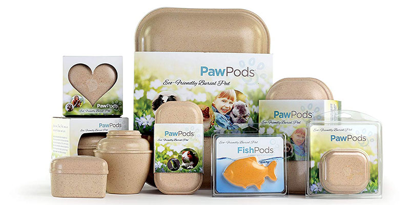Alternatives to Traditional Pet Urns