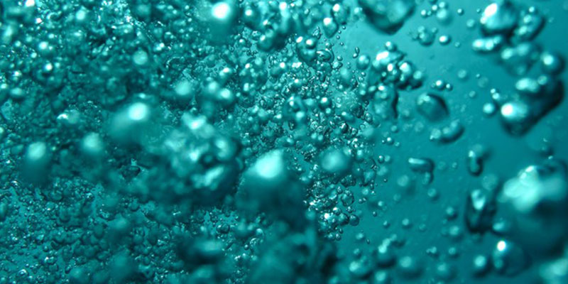 What You Need to Know About Pet Aquamation