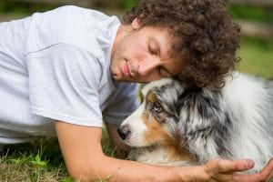 3 Ideas for Loving Pet Loss Services