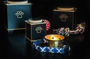 Pet Aquamation is an Environmentally Friendly Option that Honors Your Pet’s Life