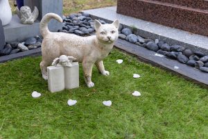 Why Using a Pet Cemetery is a Good Idea