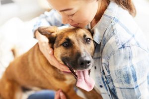 The Main Benefits of Choosing Individual Pet Aquamation