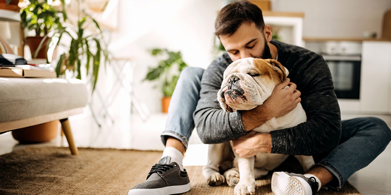  A Closer Look at Our Pet Loss Services and What They Include 