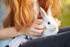 How Is Pet Aquamation an Eco-Friendly Alternative to Flame Cremation or Burial?