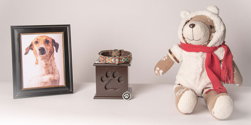 The Importance of Pet Memorial Services 