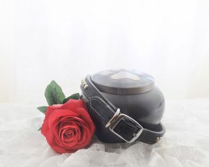 How to Choose Between Pet Aquamation and Pet Cremation Services