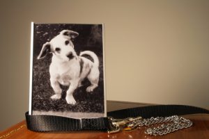 Pet Memorials Are Healing