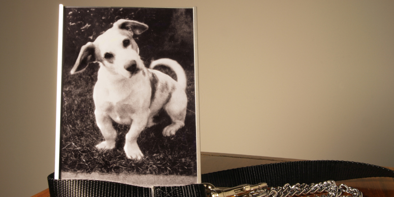 Pet Memorials Are Healing