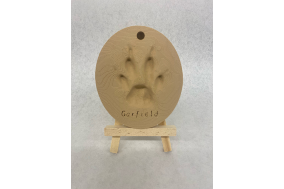 3D Model Paw Print