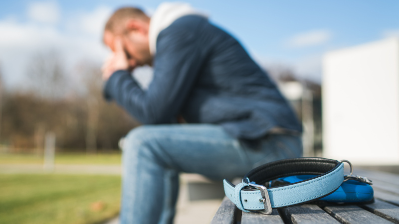 What is “Normal” Grieving After the Loss of a Pet?