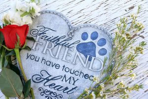Are Pet Funeral Services Right for Your Beloved Animal?