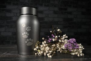 Important Questions to Ask About Pet Aquamation