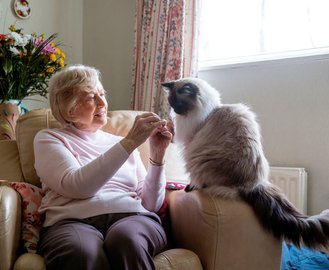 Make Saying Goodbye to Your Pet Easier